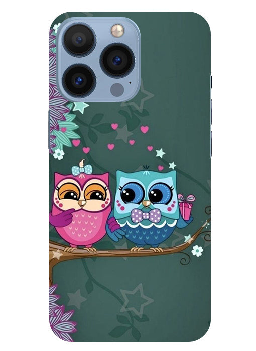 Heart Owl Design Back Cover For Apple Iphone 13 Pro Max