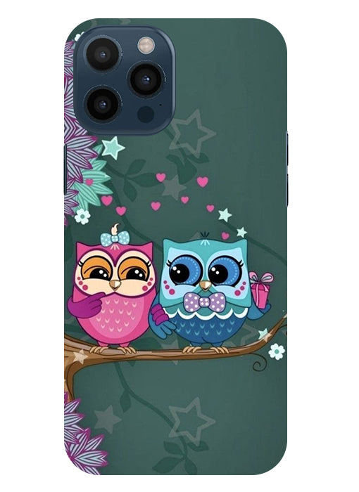 Heart Owl Design Back Cover For Apple Iphone 12 Pro