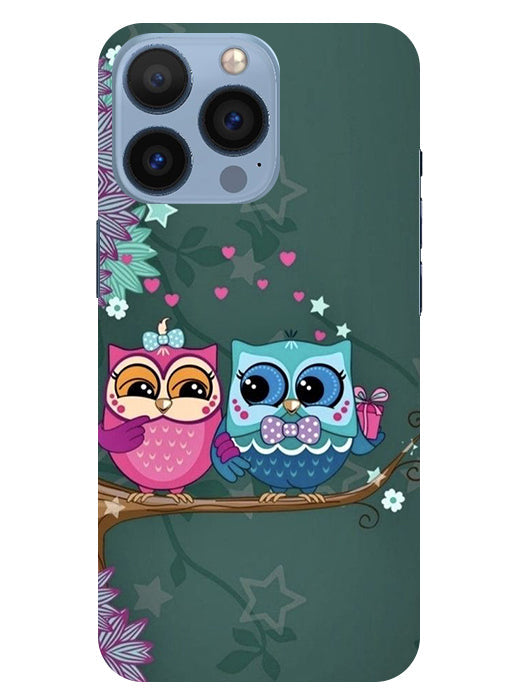Heart Owl Design Back Cover For Apple Iphone 13 Pro
